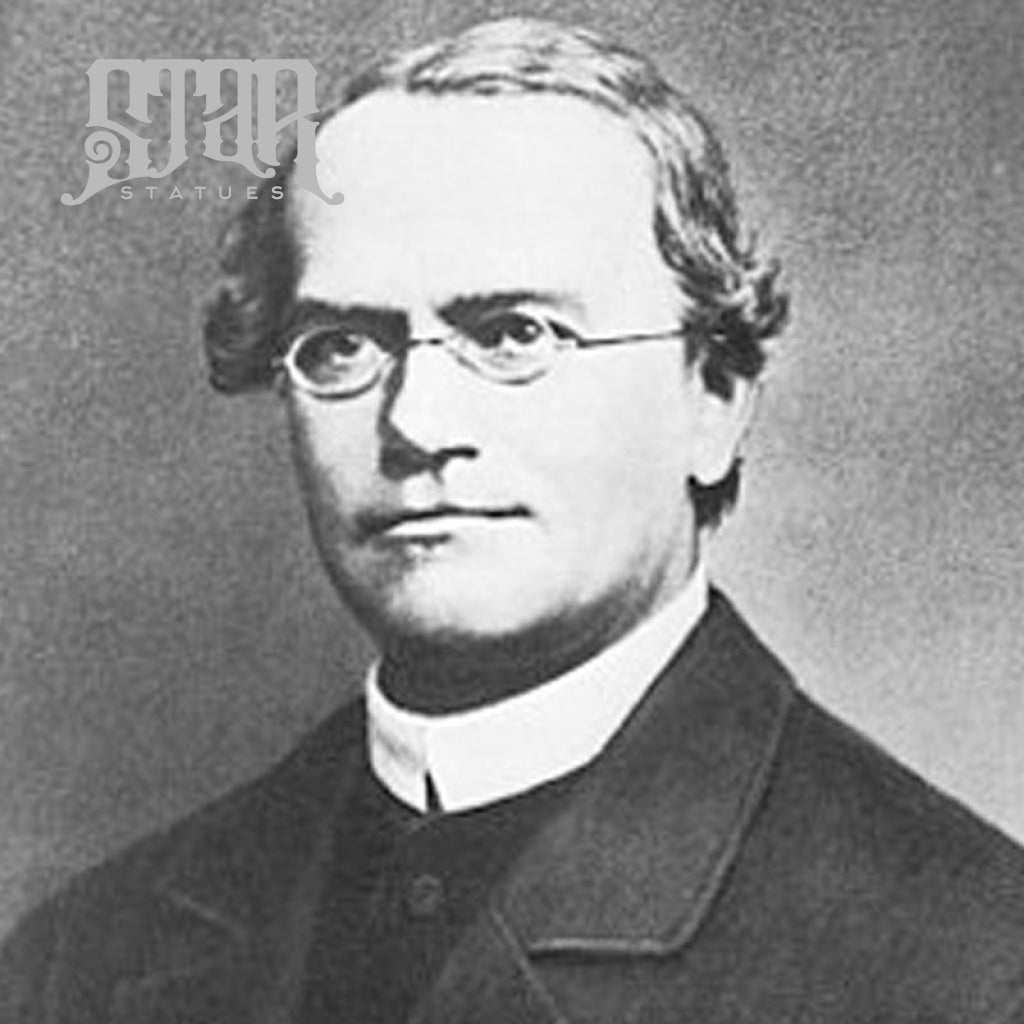 Gregor Mendel Bronze Statue - Star Statues